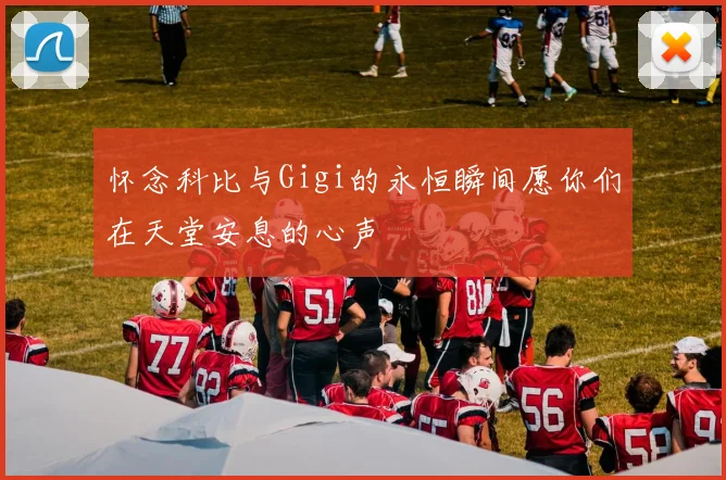怀念科比与Gigi的永恒瞬间愿你们在天堂安息的心声