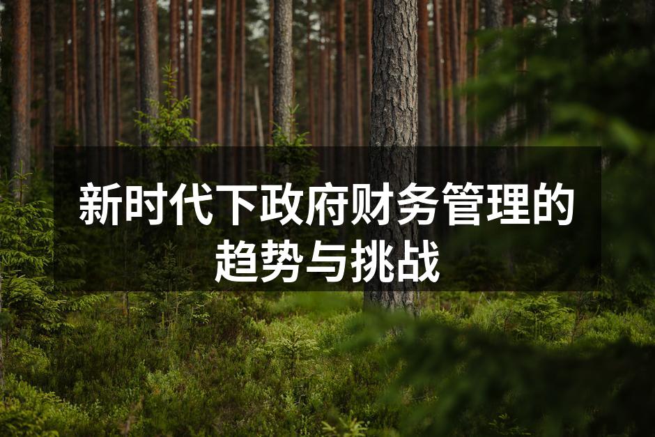 新时代下政府财务管理的趋势与挑战